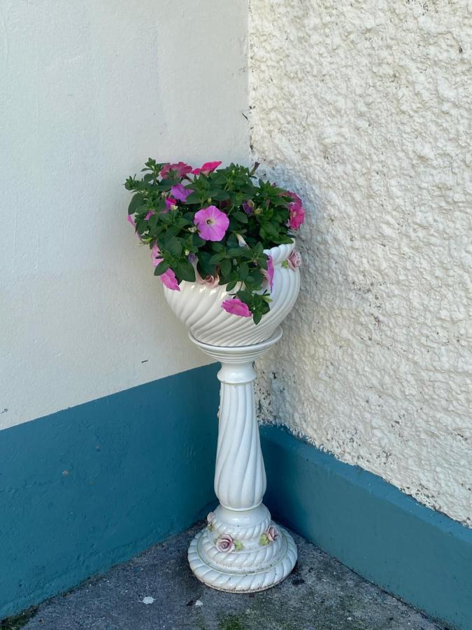Farm Stay Property Pets And Families Welcome Rossnowlagh Εξωτερικό φωτογραφία