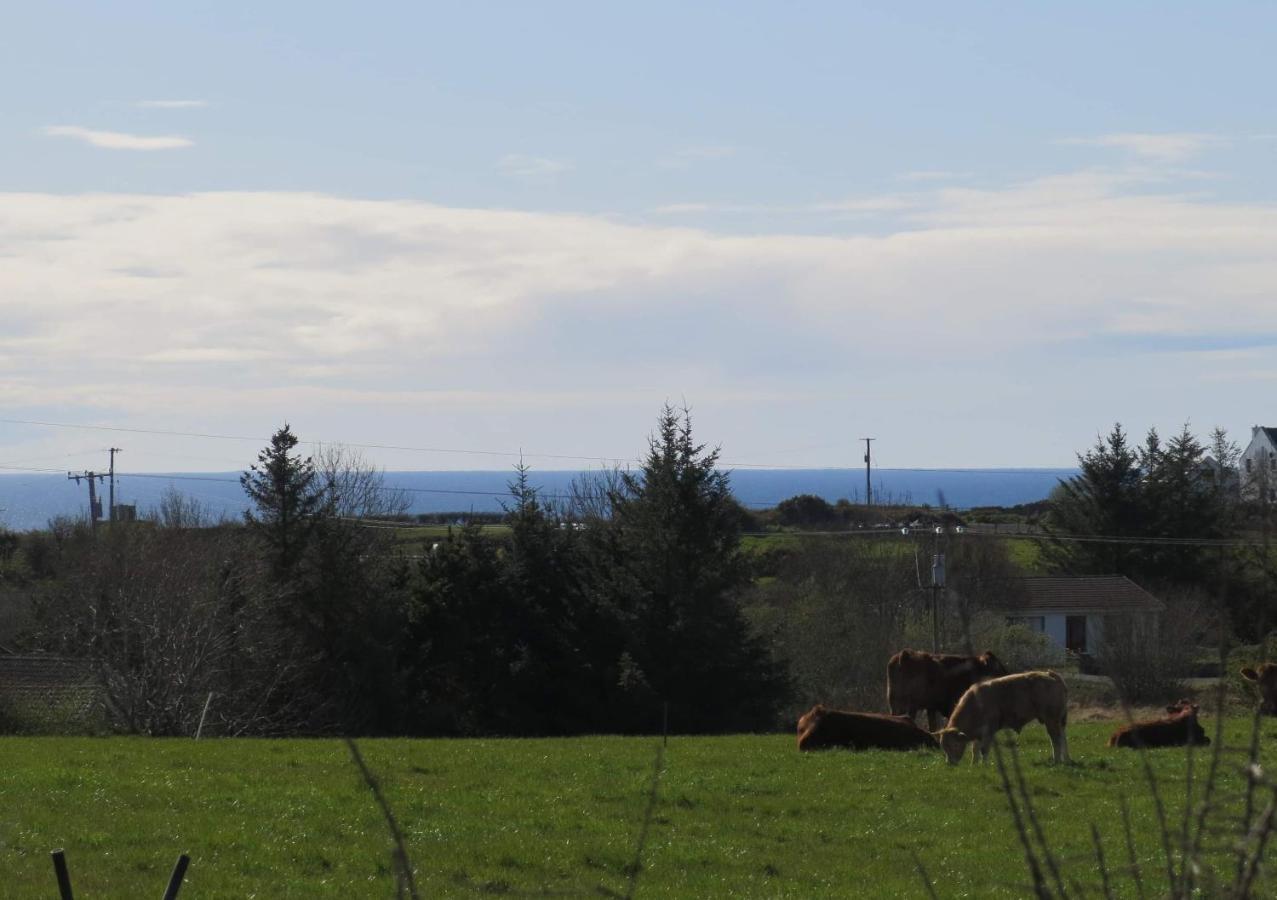 Farm Stay Property Pets And Families Welcome Rossnowlagh Εξωτερικό φωτογραφία