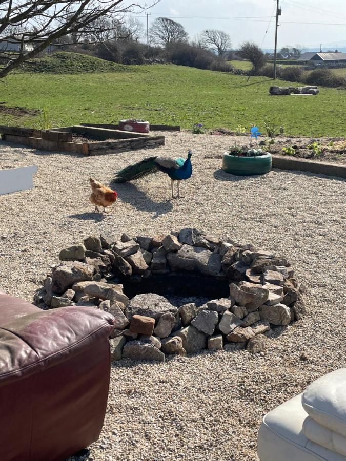 Farm Stay Property Pets And Families Welcome Rossnowlagh Εξωτερικό φωτογραφία